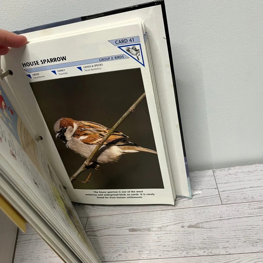 1992 Wildlife Fact-File Binder & Cards Group 2 Birds INCOMPLETE  Home School